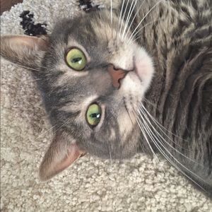 Meet your Posher, Mary